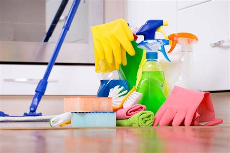Let our cleaners make your home shine! CLEANING SERVICES - Bear and Bull Technical Services