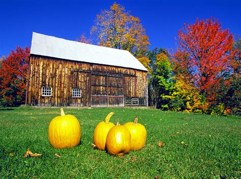 Autumn Pumpkins Photograph By Buddy Mays Fine Art America