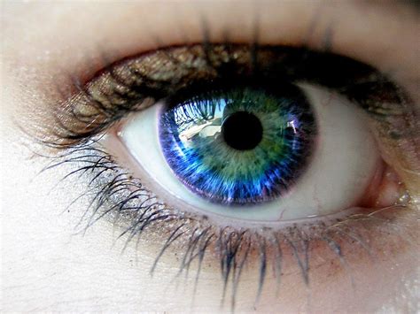 This Is How Human Eyes Get Their Color And Its Simply Amazing The