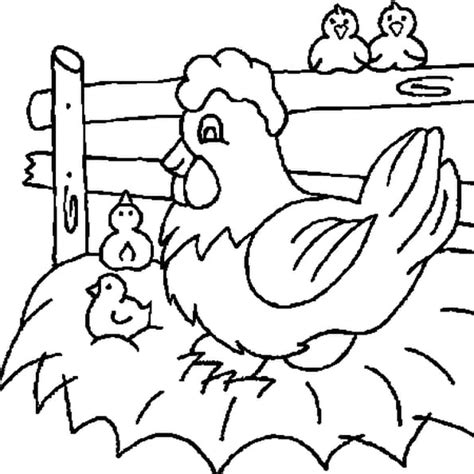 Vecteur plat dessiné à la main poulet poule de couleur brune, coq assis dans le nid de foin, poussins jaunes autour du jeu d'icônes. POULE : Coloriage poule en Ligne Gratuit a imprimer sur ...