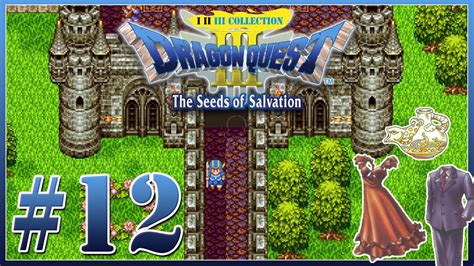 Lets Play Dragon Quest 1 2 3 Collection Switch Fr Hd 12 On Est Des Ninjas Dq3 Youtube
