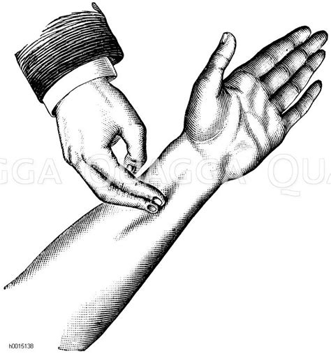 mensch druck mit 1 2 fingern massage quagga illustrations