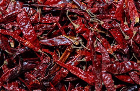 How To Dry Chillies At Home Methods Horticulture Co Uk