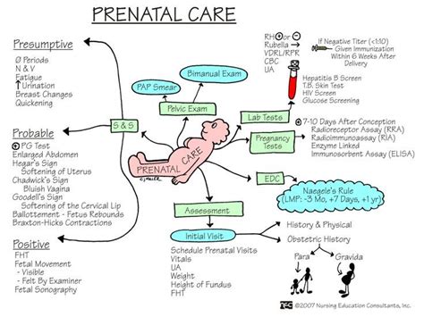 Postpartum Nursing Concept Map Time Zones Map