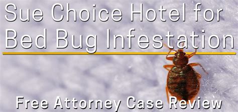 Choice Hotels Bed Bug Lawsuit Attorneys To Sue Choice Hotels