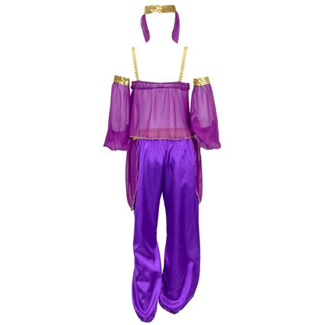 steamy genie womens halloween costume dreamy arabian dancer harem dress gown purple large