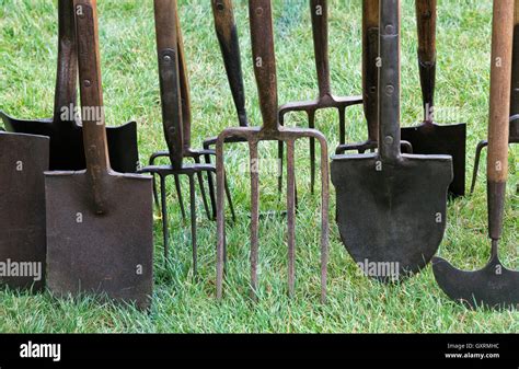 Old Garden Tools Including Spades Forks And Lawn Edger Stock Photo Alamy