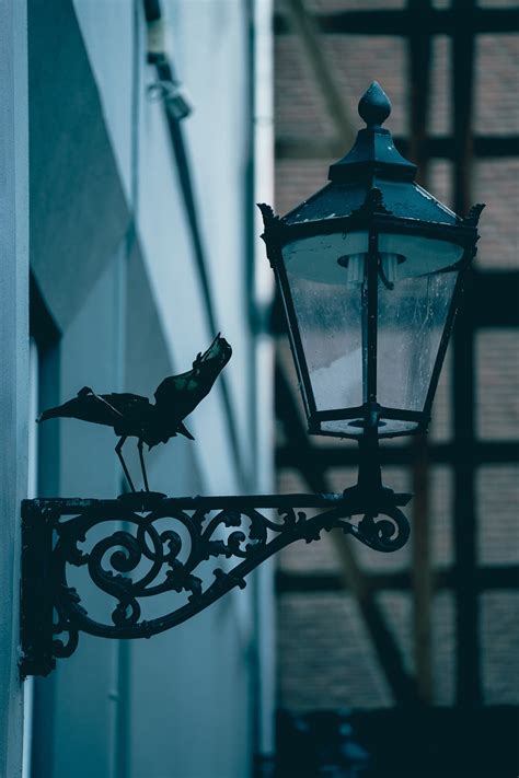 Laterne Vogel Lampe Kostenloses Foto Auf Pixabay Pixabay