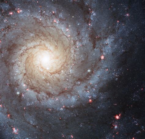 New Insights on How Spiral Galaxies Get Their Arms | International ...