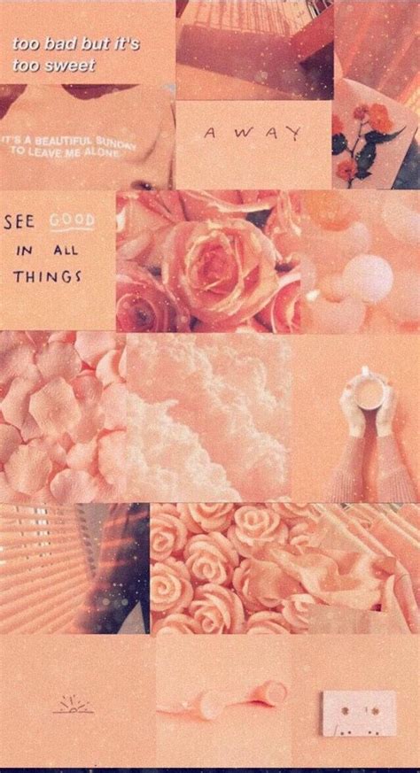 Peach 🍑 Wallpaper Peach Wallpaper Color Collage Vision Board Wallpaper