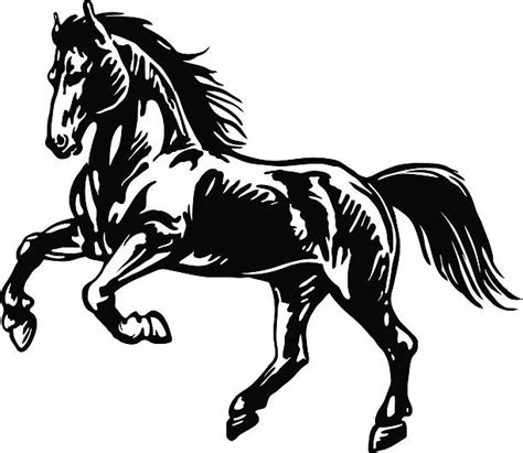 Royalty Free Black And White Horse Clip Art Vector Images