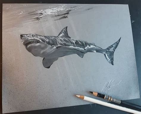 Shark week is here and our sister magazine world of animals is celebrating by showing you how to create a great white shark in your very own home. rikwilkinsonartist Great White Shark | Great white shark ...