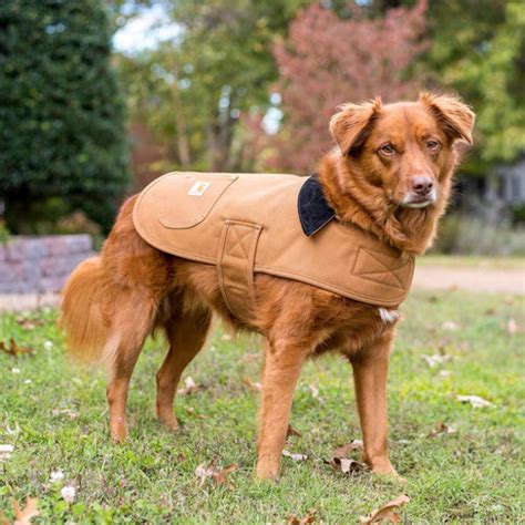 Carhartt Chore Dog Coat Spruce Capital Feeds
