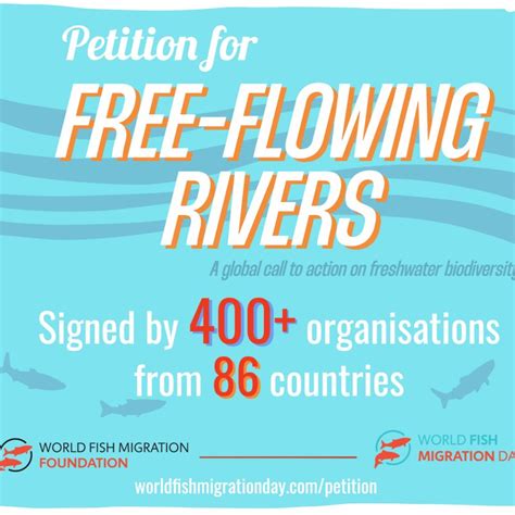 World Fish Migration Day Connecting Fish Rivers And People