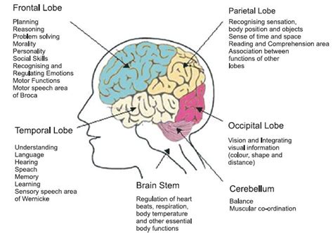 Understanding The Types Of Dementia Mental Health Simplified