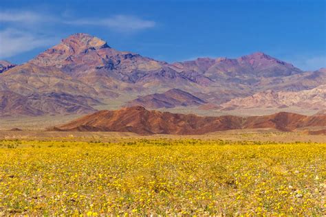 Death Valley National Park Visit What You Should Know