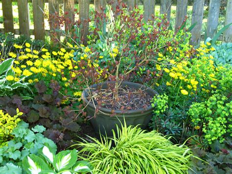 Perennials Along Back Fence In Photo By Leafpeeper On Garden Showcase