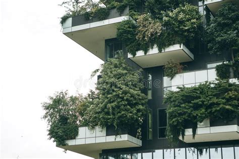 Trees Grow On The Balconies Stock Image Image Of Exterior