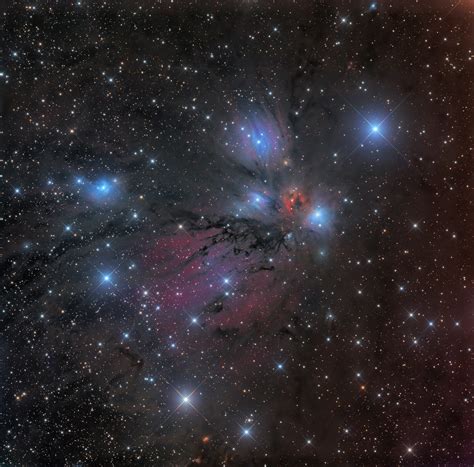 Angel Nebula Ngc 2170 And Surrounds Post Processing Warre Flickr