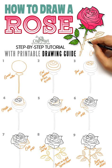 How To Draw A Realistic Rose For Beginners Draw Power
