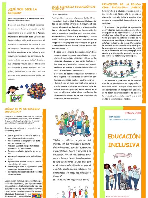 Tríptico Educación Inclusiva Equipo Saanee Pdf Inclusión