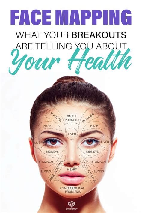 Face Mapping What Your Breakouts Are Telling You About Your Health And How To Fix It Face