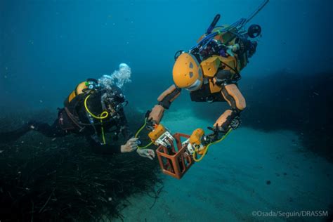 Robot Sous Marin Humanoïde Bimanuel Avec Retour Haptique Ocean One