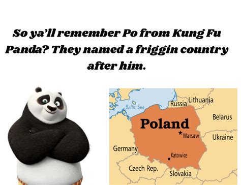 But Isnt Chinas National Animal The Panda Memes