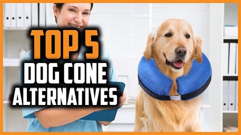 Top 5 Best Dog Cone Alternatives Of 2023 Youtube
