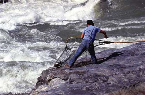 Fishing Aboriginal Knowbc The Leading Source Of Bc Information