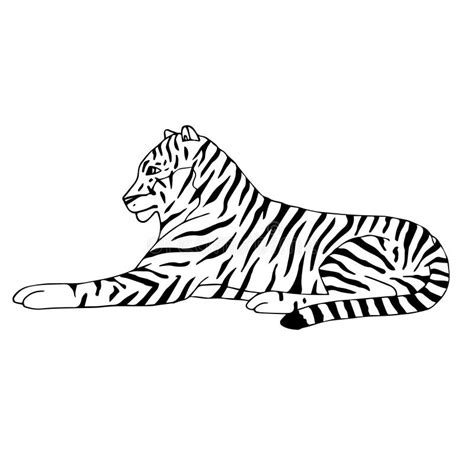 Vector Hand Drawn Doodle Sketch Lying Tiger Stock Vector Illustration