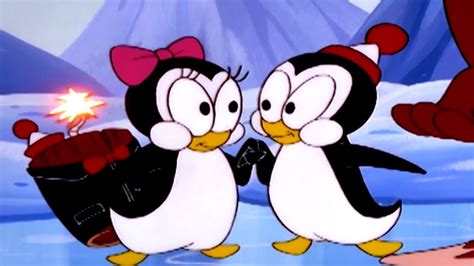 Images Of Penguin Cartoon Video
