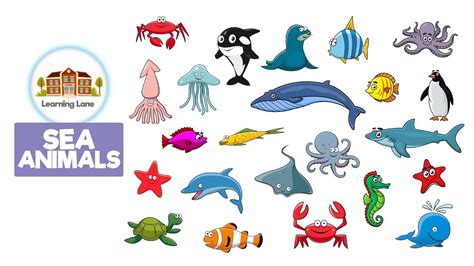 Sea Animals For Kids Youtube