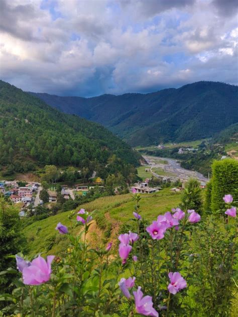What Is The Best Time To Visit Arunachal Pradesh All You Need To Know