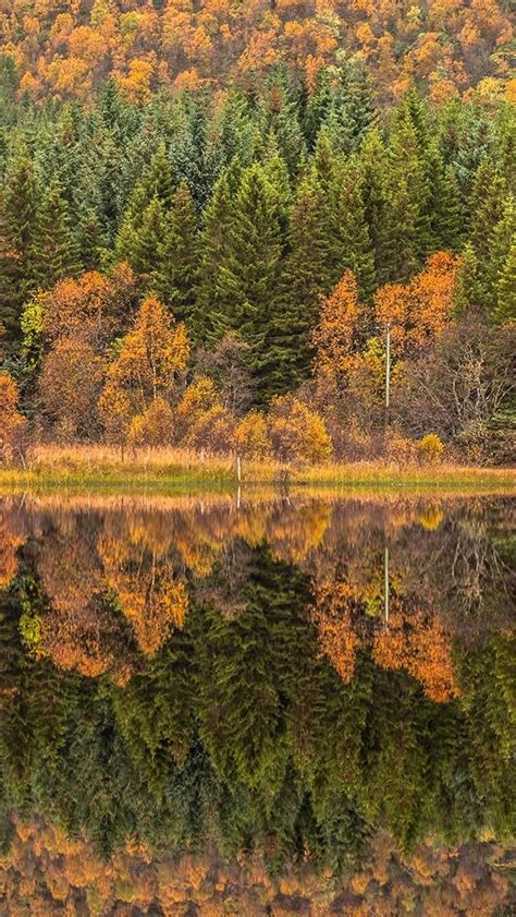 Autumn Landscape Reflection🍂 Wallpaper Backiee