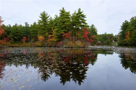 Nature Landscape Of Massachusetts Usa Stock Photo Image Of Autumn