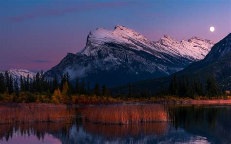 Download Wallpaper 2560x1600 Mountains Lake Reflection Widescreen 16