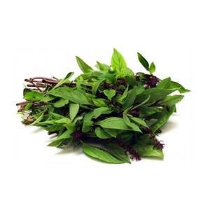 Ground basil is entirely different than bay leaf. Basil leaf suppliers in Klang Valley