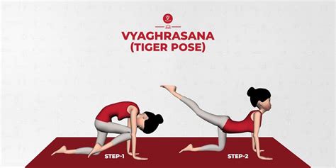 Vyaghrasana Tiger Pose Benefits Adjustment Cautions