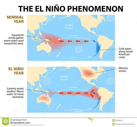 El nino merupakan suatu fenomena perubahan iklim yang secara global yang sedangkan la nina merupakan peristiwa alam yang dapat dikatakan seperti opposite atau kebalikan dari el nino. Fenomeno Di Nino Di EL Immagini Stock Libere da Diritti ...