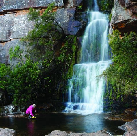 Western Cape Nature Reserves Open For Day Trips Travel Wesgro