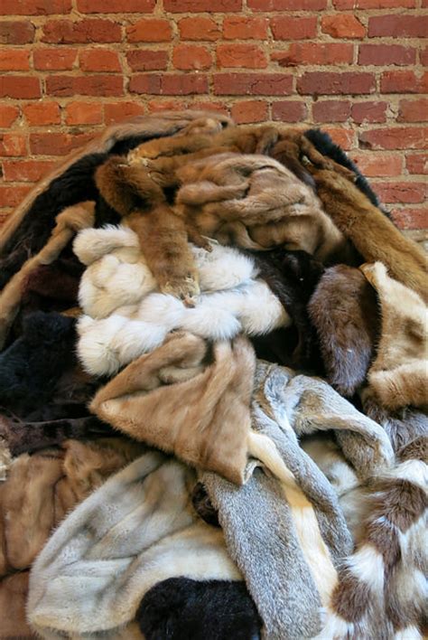 Finally The Perfect Way To Get Rid Of Your Old Fur Coat