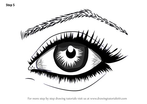 Step By Step How To Draw Realistic Eyes With Pencil