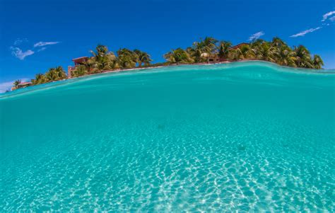 Why Plan A Vacation To Roatan Island In Honduras Lalize Roatan