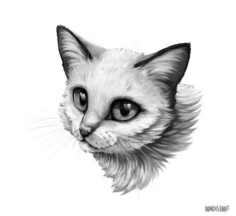 Cat In Grey By Pondis Dant On Deviantart