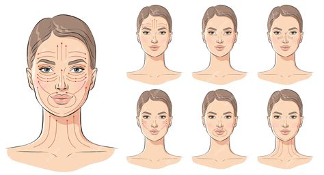 Premium Vector Face Massage Lines Facial Massage Instructions Vector Illustration