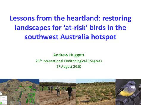 Pdf Lessons From The Heartland Restoring Landscapes For ‘at Risk