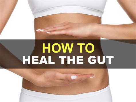 How To Heal The Gut Gut Healing Healing Herbs Healing Process Small
