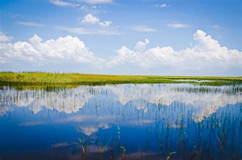 10 Best Things To Do In Everglades National Park