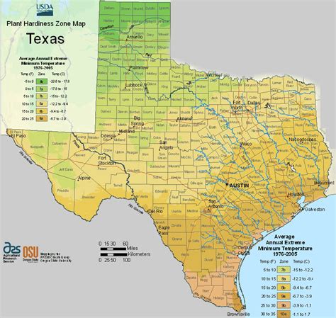 Usda Texas Planting Zones Map For Plant Hardiness
